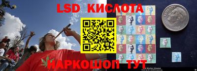 прущая мука Лесосибирск