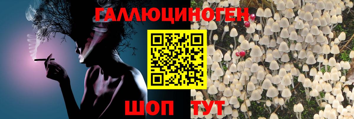 Ишим  Галлюциногенные грибы прущие грибы  купить  цена  Вход с VPN 